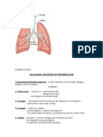 Schema Tablei