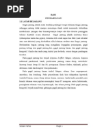 Download Sesak Nafas by M Fitrah Hidayat SN261507283 doc pdf