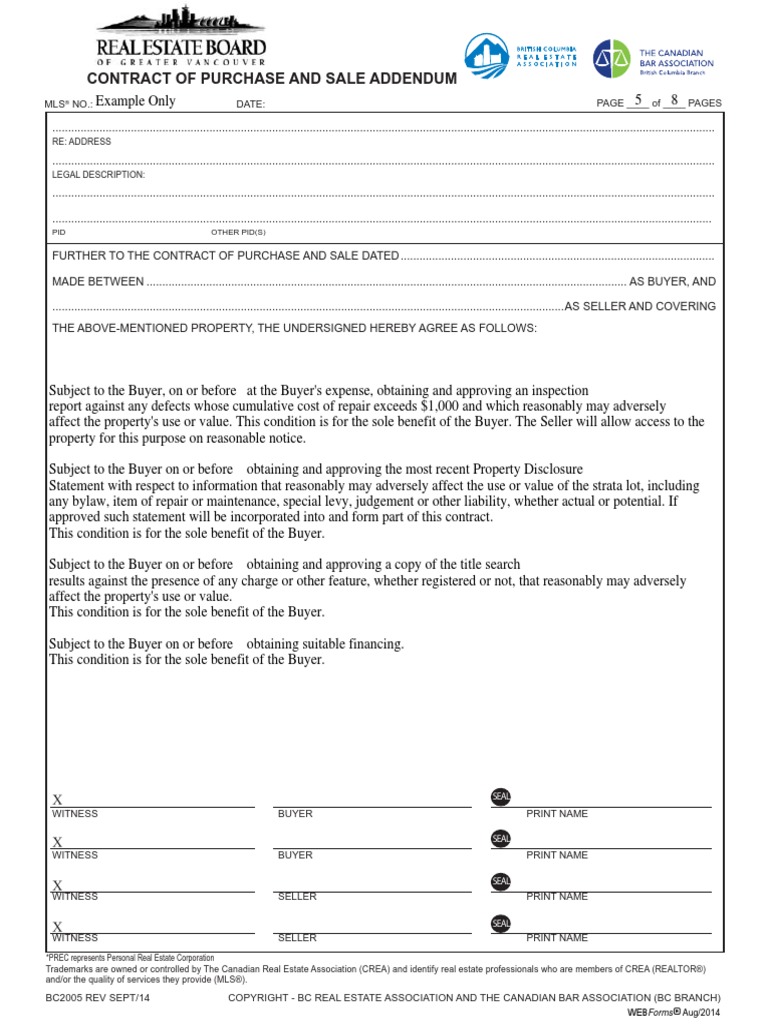 Contract Addendum Example | License | Sales
