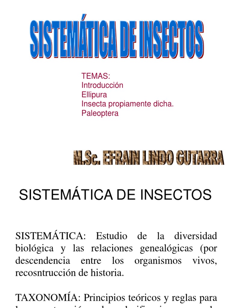 Sistemática y Taxonomía de Insectos | PDF | Taxonomía (biología) | Taxón