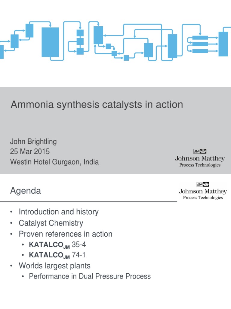 Ammonia Synthesis Catalysts Overview | PDF | Physical Sciences ...