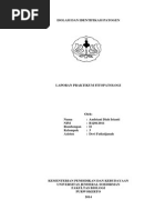 Download Isolasi dan Identifikasi Patogen by Andriani Diah Irianti SN261524790 doc pdf