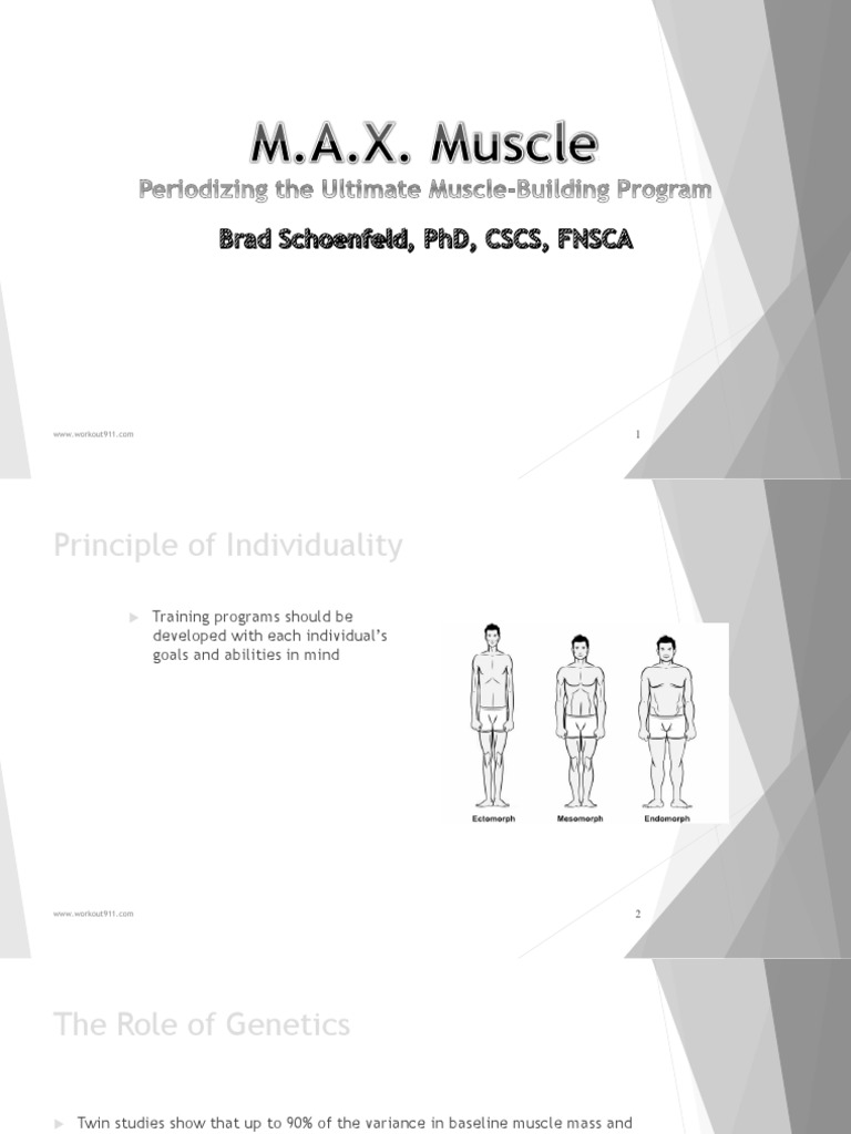 MAX Muscle Periodization by Dr. Brad Schoenfeld | PDF | Strength ...
