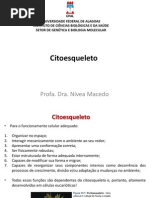 Cito Esqueleto
