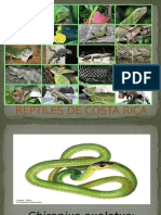 Reptiles de Costa Rica