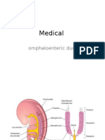 Medical: Omphaloenteric Duct