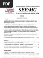 Apostila Concurso PEB MG - comum de todos os cargos