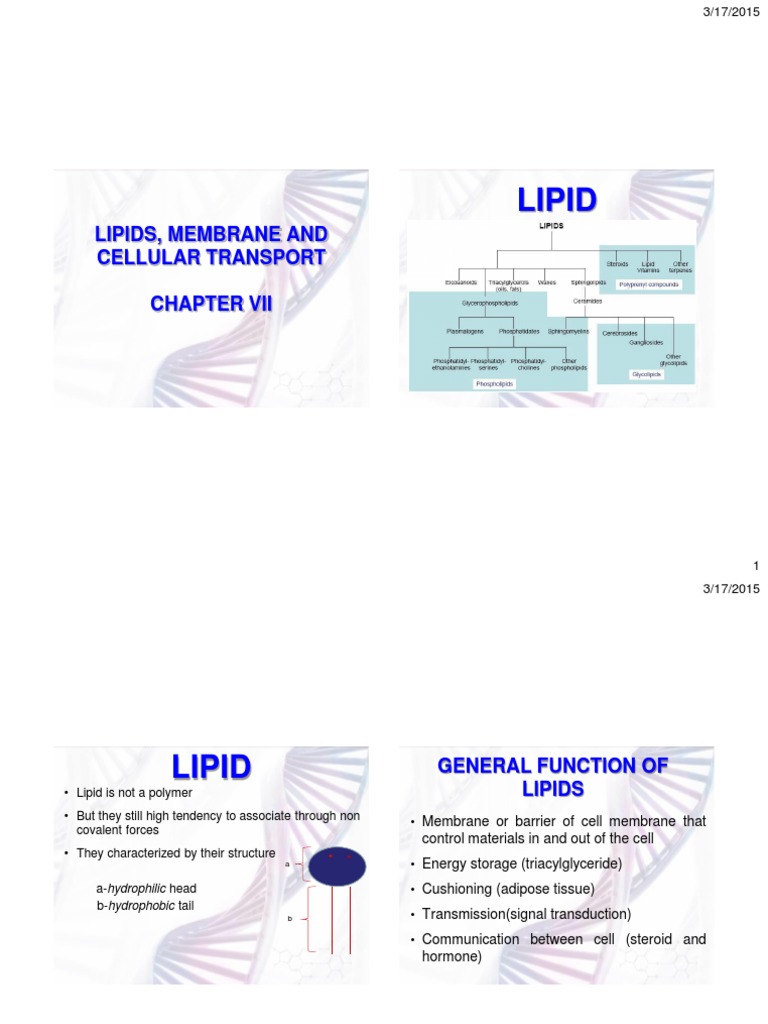 Lipid Membrane And Celullar Transport Pdf Cell Membrane Osmosis