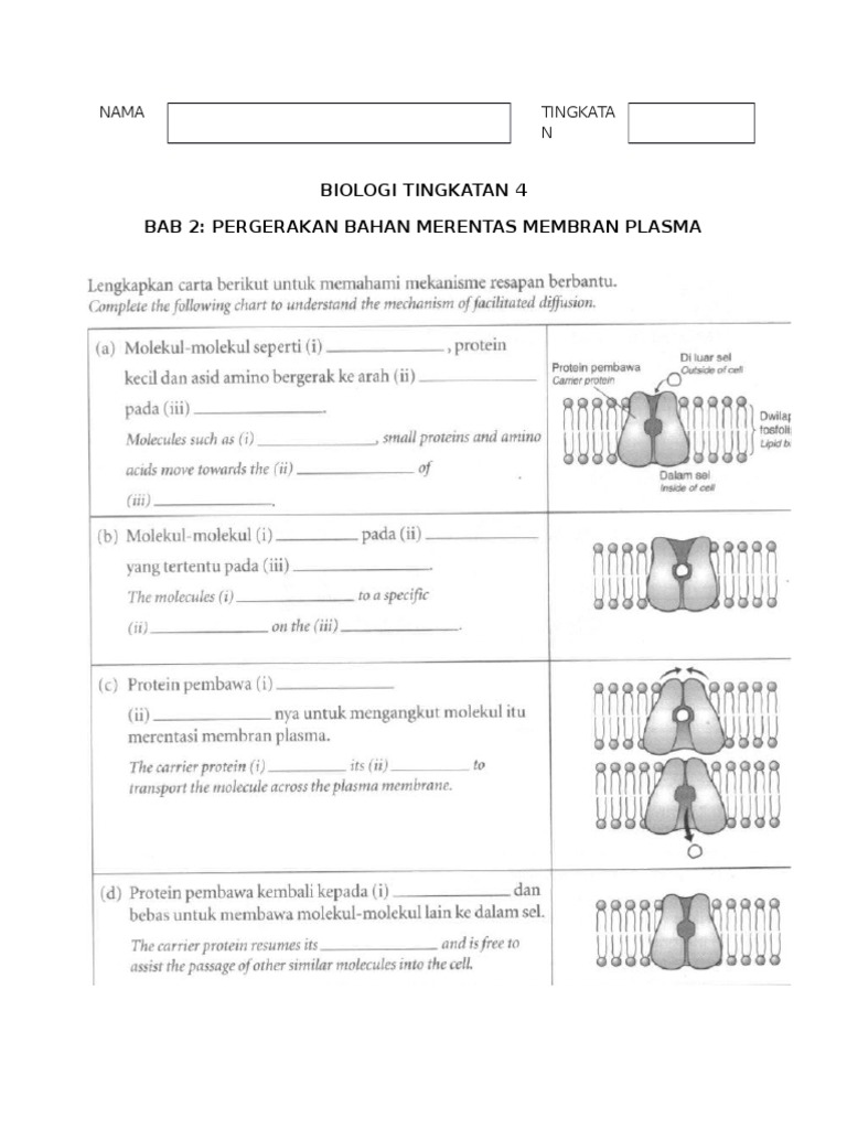 Latihan Biologi Tingkatan 4 (Bab 3)  PDF