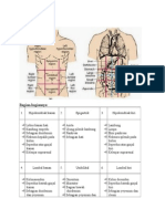 Anatomi Organ Terkait