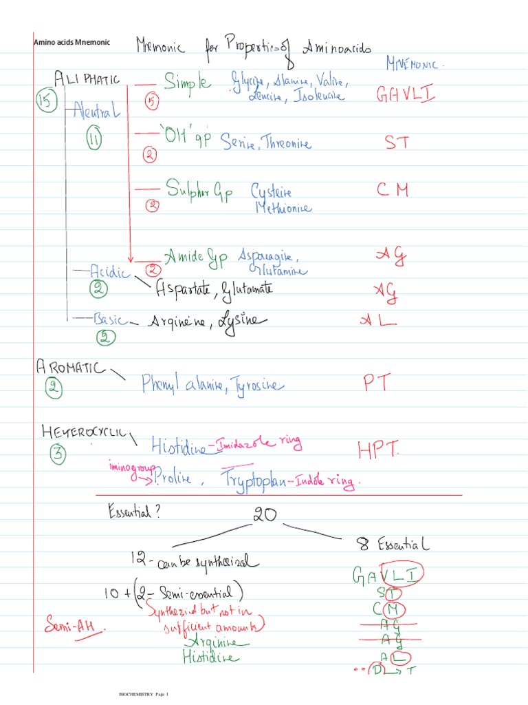 Amino Acids Mnemonic PDF