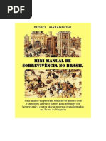 Pedro Marangoni - Mini Manual de Sobrevivência No Brasil