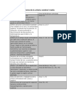 Síndrome de la arteria cerebral media: signos, síntomas y áreas de Brodmann afectadas