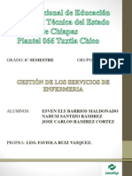 Manual de Organizacion Chiapas