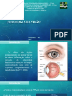 Fisiologia Animal (Visão)