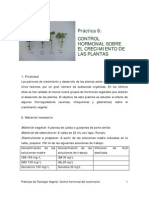 Practica: CONTROL HORMONAL SOBRE EL CRECIMIENTO DE LAS PLANTAS