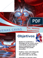 Anatomia Humana II- Venas Cavas