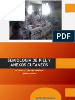 Clase 3 - Piel y Anexos PDF
