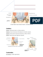 Trayecto Inguinal