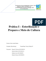 Relatório Esterelização e Preparo de Meio de Cultura