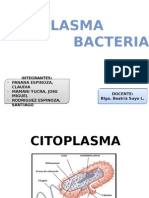 Citoplasma Bacteriano