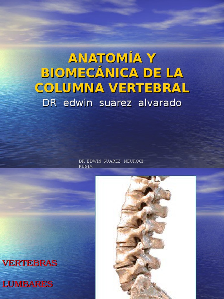 Anatomía y Biomecánica de La Columna Vertebral Unfsc | PDF | Vértebra ...