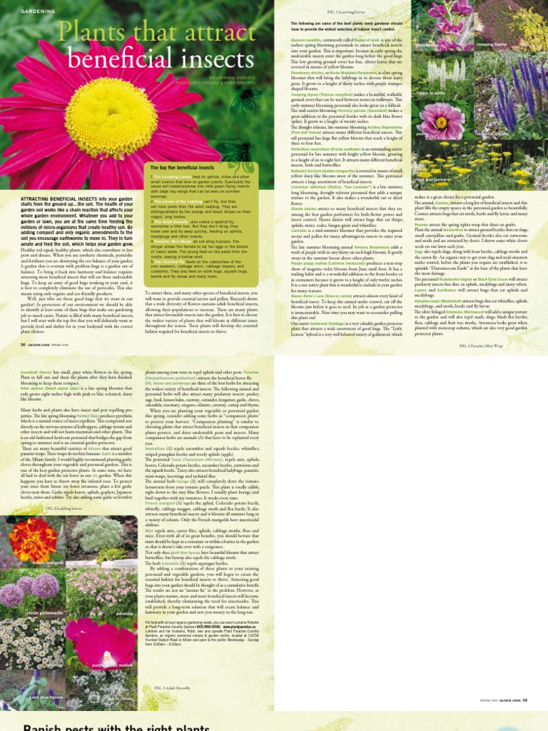 Attracting Beneficial Insects Article | PDF | Horticulture And ...