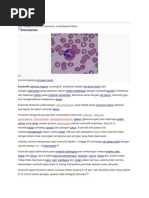 Download Eosinofil by Yose_mega21 SN261624570 doc pdf