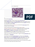 Eosinofil