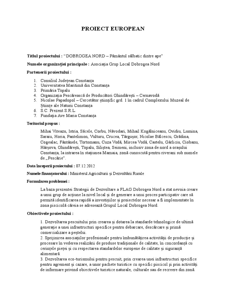 Proiect European | PDF