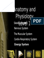 Anatomy and Physiology Level 1: Skeletal System Nervous System The Muscular System Cardio-Respiratory System