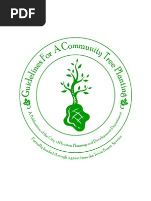 Tree Planting