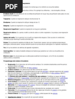 Fisiopatología Del Sistema Respiratorio y Circulatorio