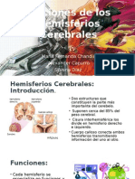 FX Hemisferios Cerebrales