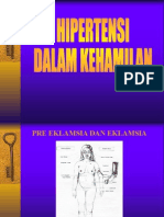 Hipertensi Dalam Kehamilan