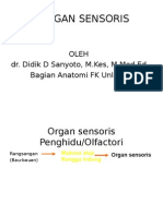 Organ Sensoris.ppt