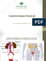 Cateterismo Vesical: Procedimento e Cuidados