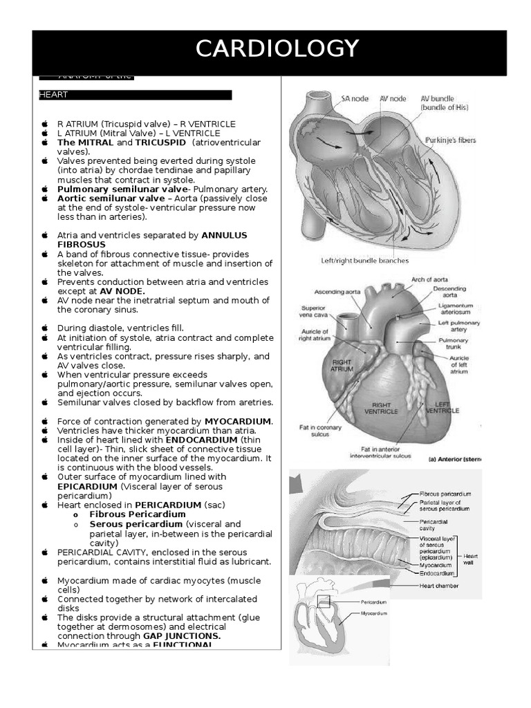 Cardiology Pdf Heart Valve Coronary Circulation