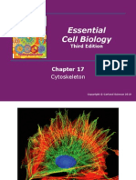 ECB3e Ch 17 Cytoskeleton