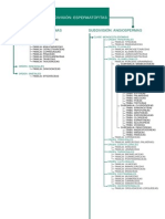 Division Espermatofitas2 (2)