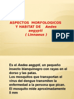 07 03 15 Presentacion Dengue