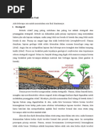 Download Cara Penentuan Umur Fosil by gentong_cantik SN261668459 doc pdf