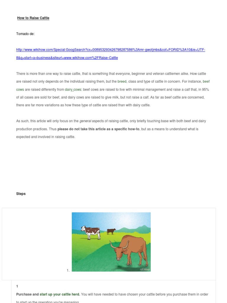 How To Raise Cattle PDF Dairy Cattle Calf