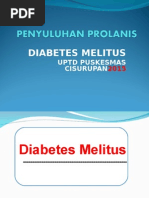 Download Penyuluhan Prolanis Diabetesppt by YakuZa Lie SN261684188 doc pdf