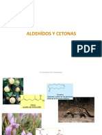 Aldehidos y Cetonas