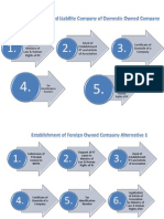 Establishment of Company Procedures_(1)