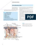 The Structure and Function of Skin: Section 1