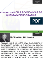 A Questão Demográfica Conseq