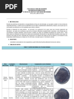 Laboratorio 1 Microbiologia Asepcia