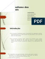 Metabolismo Dos Macrominerais